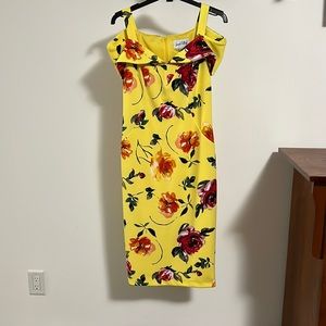 Elegant Joseph Ribkoff dress